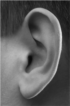 a boy's ear