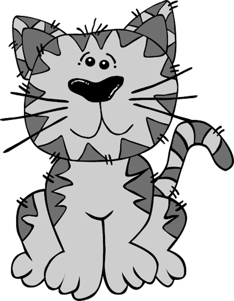 *A Sad Cat