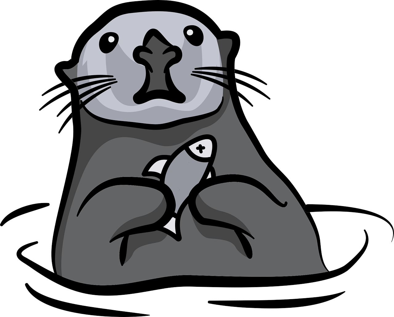 *An Otter on the O