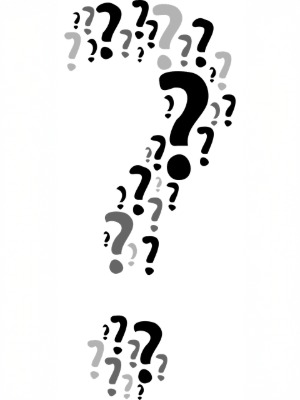 *Quiet Q Questions