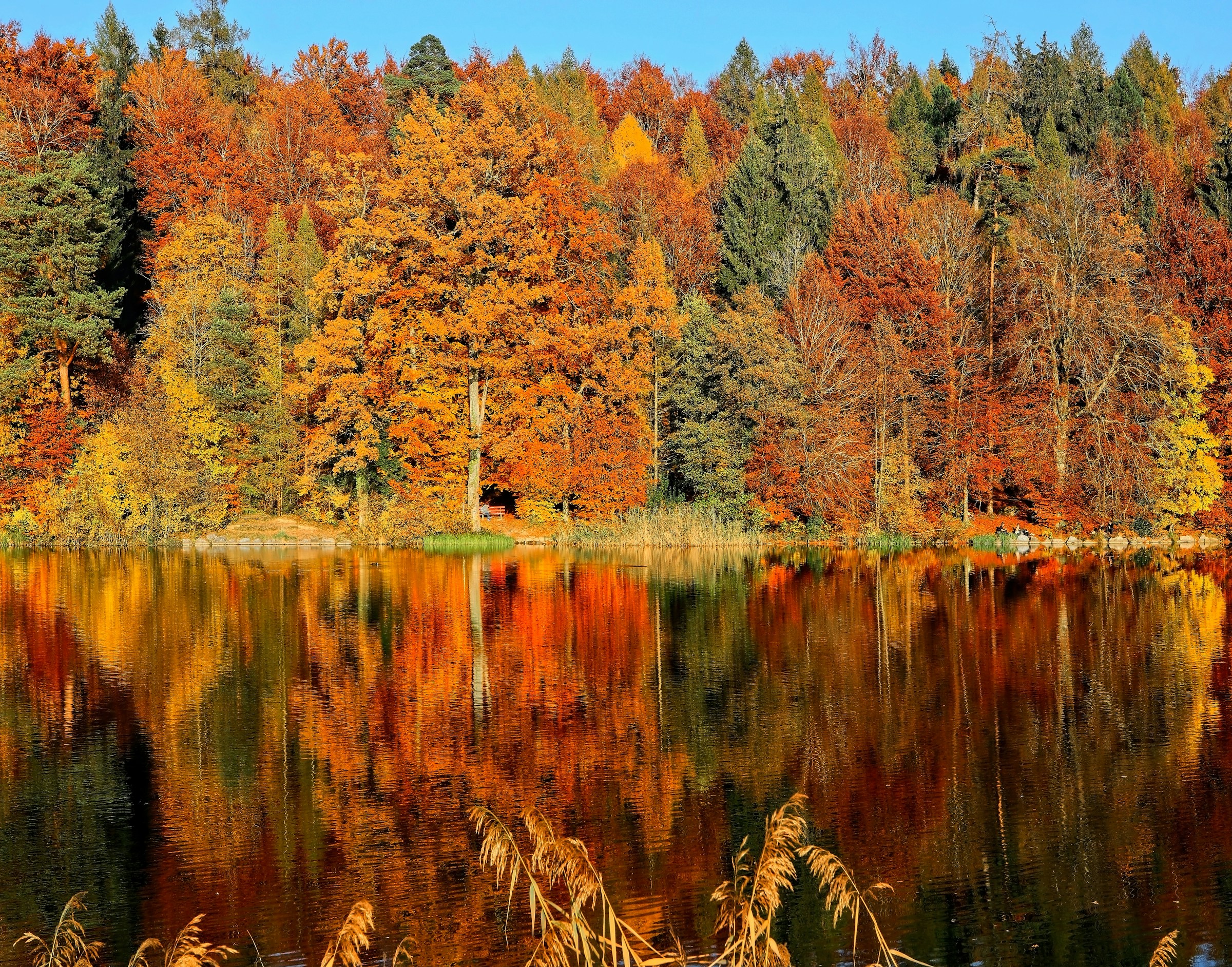 Fall is here