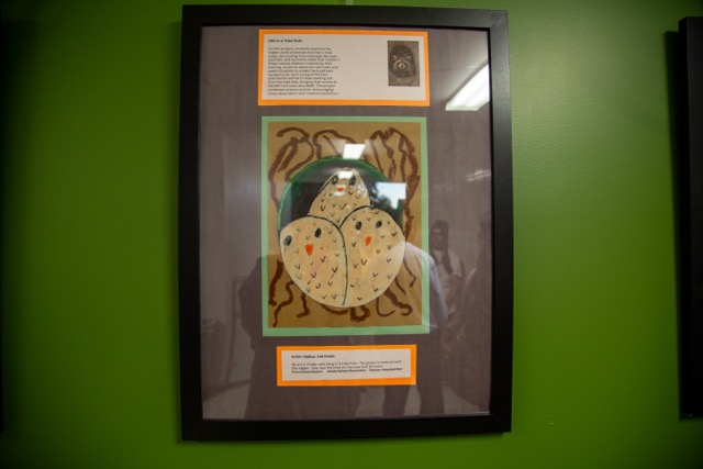 Drawing of three baby owls.