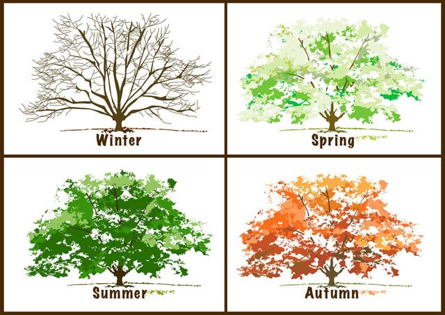 Weather in the Seasons