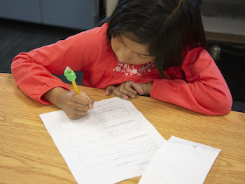 Elle worksheet