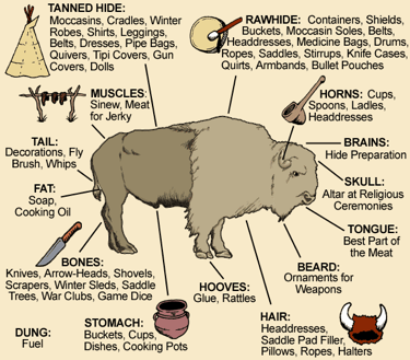 Real and Ideal: A Closer Look at Westward Expansion