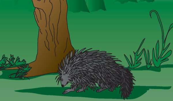 The Greedy Porcupine