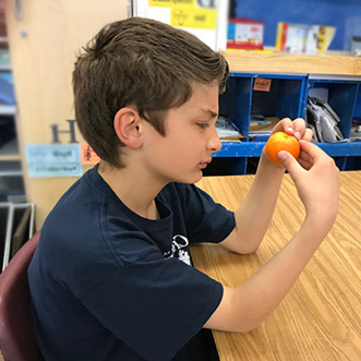 boy looking at orange