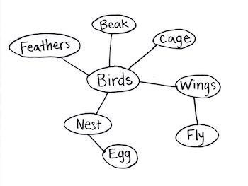 Bird word web.