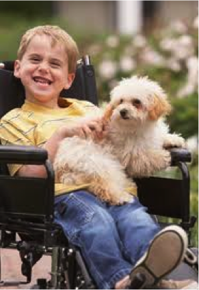 boy in a wheelchair playing with a dog