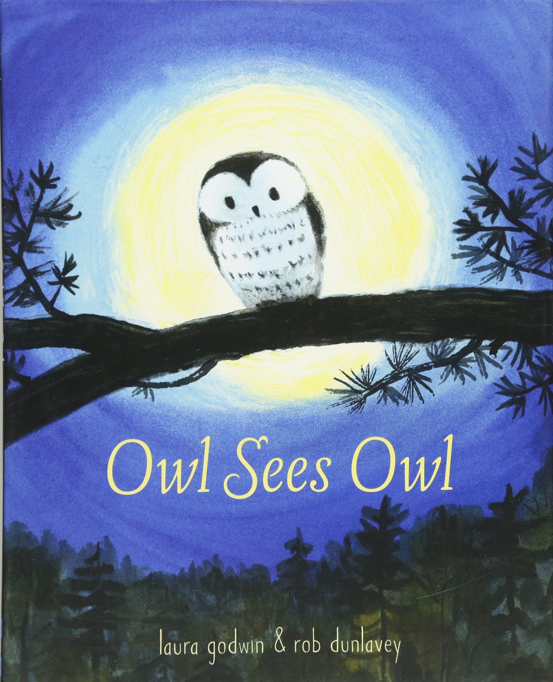 Owl Sees Owl