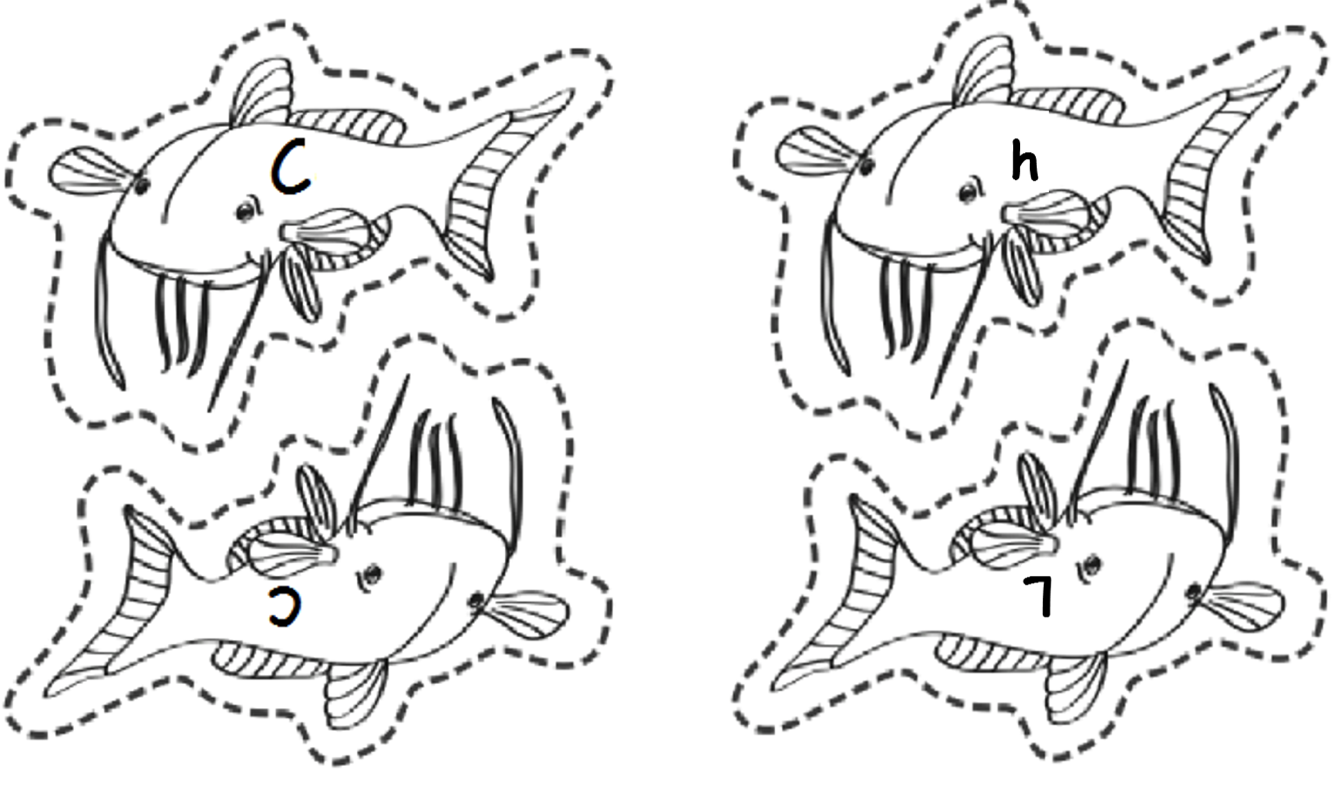 Catfish-graphic