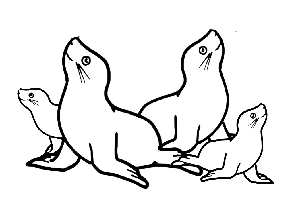 Familia de focas 