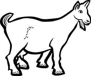 A Goat Moans and Groans