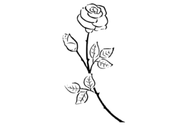 Put a Rose to Your Nose