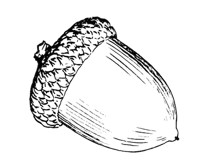 A Nut in a Hut