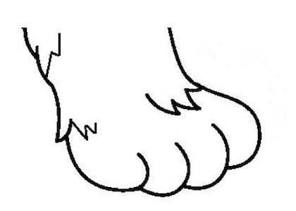 A Claw and a Paw Can Draw