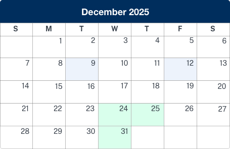 Calendar displaying december 2025