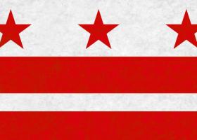 Washington DC flag